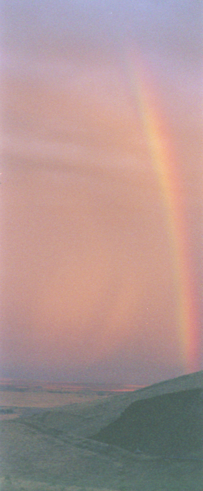 Rainbow2.jpg